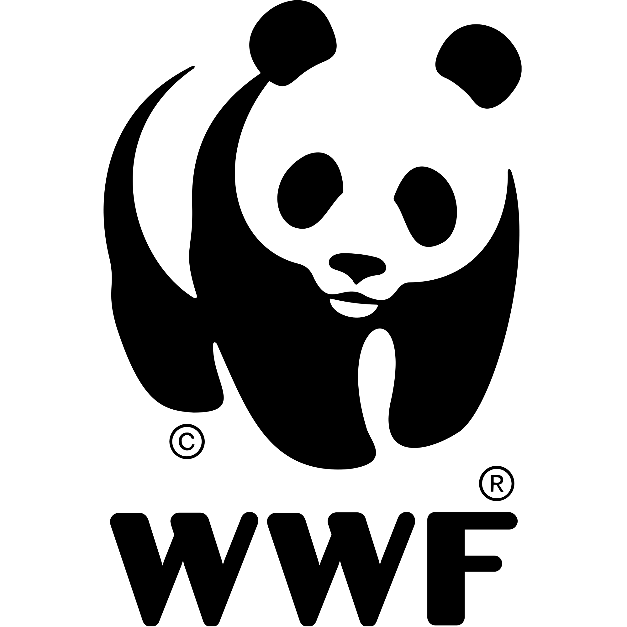 WWF - DB Studio Trusted Partner