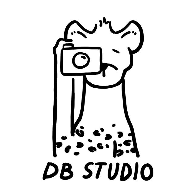 DB Studio